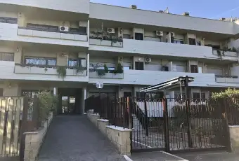 Rexer-Roma-Ardeatina-Dea-di-Roma-ALTRO