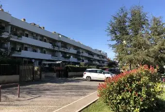 Rexer-Roma-Ardeatina-Dea-di-Roma-ALTRO