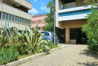 Rexer-Roma-Spinaceto-adiacente-IFO-ALTRO