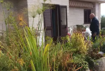Rexer-Martina-Franca-Trullo-in-affitto-in-contrada-Paretone-ALTRO