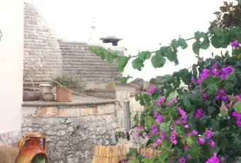 Rexer-Martina-Franca-Trullo-in-affitto-in-contrada-Paretone-ALTRO
