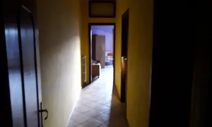 Rexer-Tito-Abitazione-autonoma-in-affitto-ALTRO
