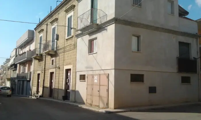 Rexer-Canosa-di-Puglia-Bilocale-in-affitto-in-via-Piave-Canosa-di-Puglia-ALTRO