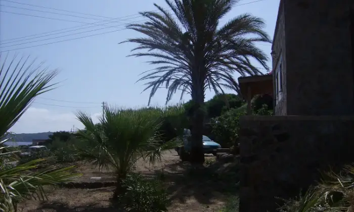 Rexer-Pantelleria-Casa-indipendente-in-affitto-ALTRO