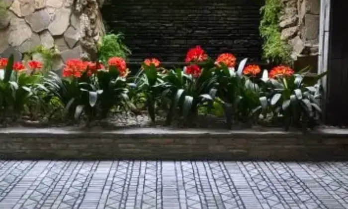 Rexer-Sanremo-Monolocale-Sanremo-foce-ALTRO
