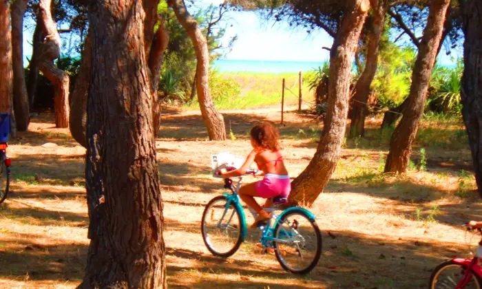 Rexer-Pineto-Appartamento-a-Pineto-BANDIERA-BLU-Pineta-e-Mare
