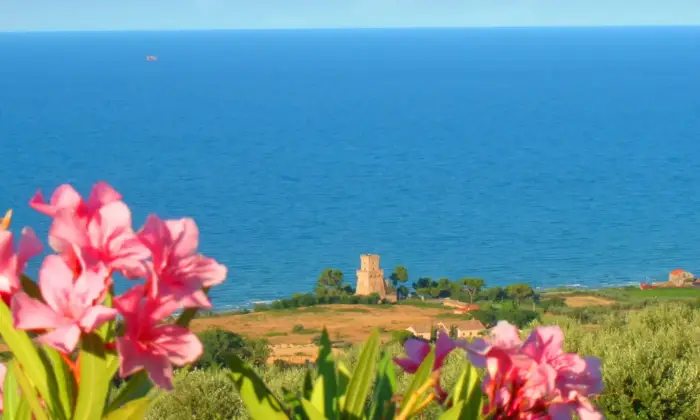 Rexer-Pineto-Appartamento-a-Pineto-BANDIERA-BLU-Ambiente