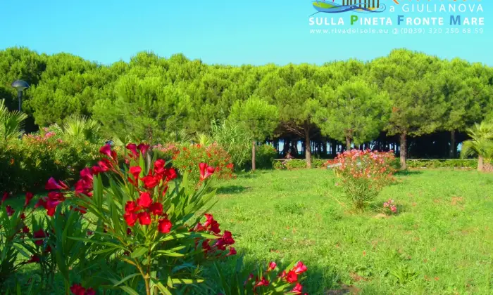 Rexer-Giulianova-Residenza-Riva-del-Sole-sulla-Pineta-FronteMare-Esterno