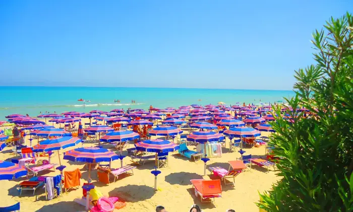 Rexer-Giulianova-Residenza-Riva-del-Sole-sulla-Pineta-FronteMare-Mare-sotto-casa-BANDIERA-BLU
