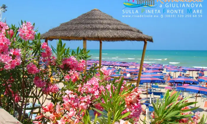 Rexer-Giulianova-Residenza-Riva-del-Sole-sulla-Pineta-FronteMare-Mare-sotto-casa-BANDIERA-BLU