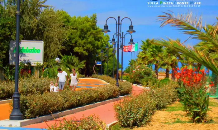 Rexer-Giulianova-Monolocale-con-giardinetto-e-posto-auto-a-Giulianova-sulla-Pineta-FRONTEMARE-Ambiente