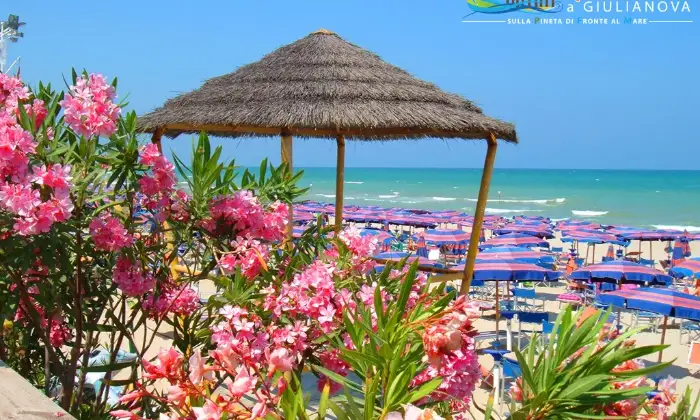 Rexer-Giulianova-Monolocale-con-giardinetto-e-posto-auto-a-Giulianova-sulla-Pineta-FRONTEMARE-Ambiente