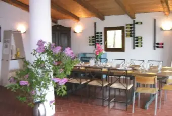 Rexer-Loazzolo-Casa-indipendente-in-affitto-in-via-Caffi-ALTRO