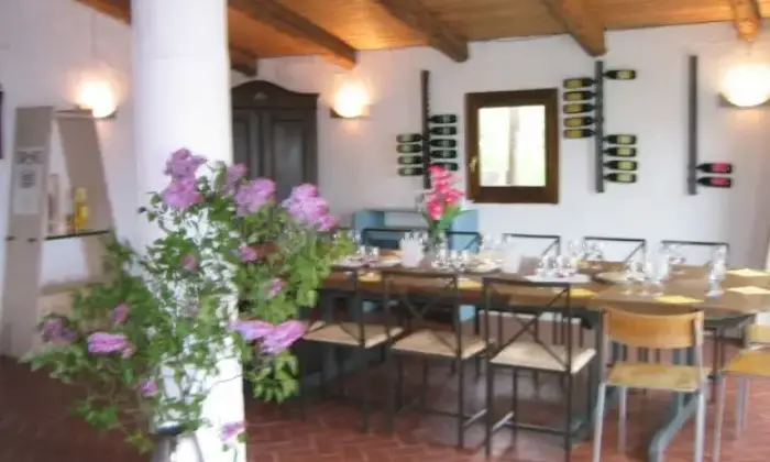 Rexer-Loazzolo-Casa-indipendente-in-affitto-in-via-Caffi-ALTRO