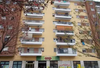 Rexer-Roma-AFFITTASI-SINGOLA-GRANDE-vicino-metro-C-Teano-e-TRAM-viale-agosta-ALTRO