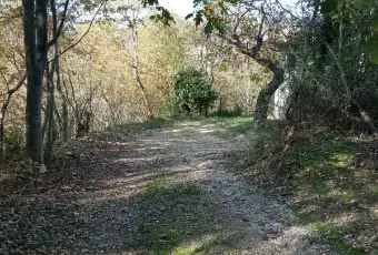 Rexer-Rapino-BAITA-AUTENTICA-IN-MONTAGNA-con-giardino-ad-uso-esclusivo-Altro