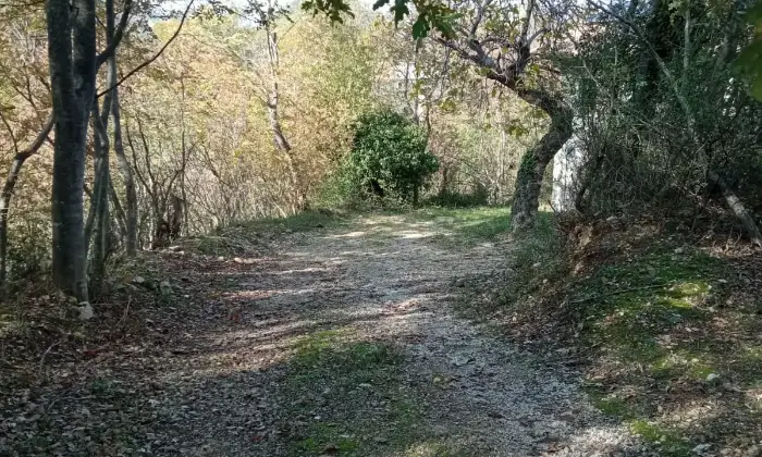 Rexer-Rapino-BAITA-AUTENTICA-IN-MONTAGNA-con-giardino-ad-uso-esclusivo-Altro