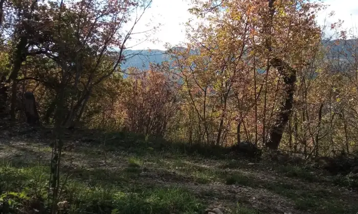 Rexer-Rapino-BAITA-AUTENTICA-IN-MONTAGNA-con-giardino-ad-uso-esclusivo-Altro