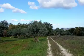 Rexer-Rapino-BAITA-AUTENTICA-IN-MONTAGNA-con-giardino-ad-uso-esclusivo-Altro