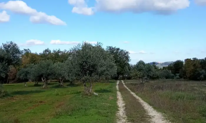 Rexer-Rapino-BAITA-AUTENTICA-IN-MONTAGNA-con-giardino-ad-uso-esclusivo-Altro