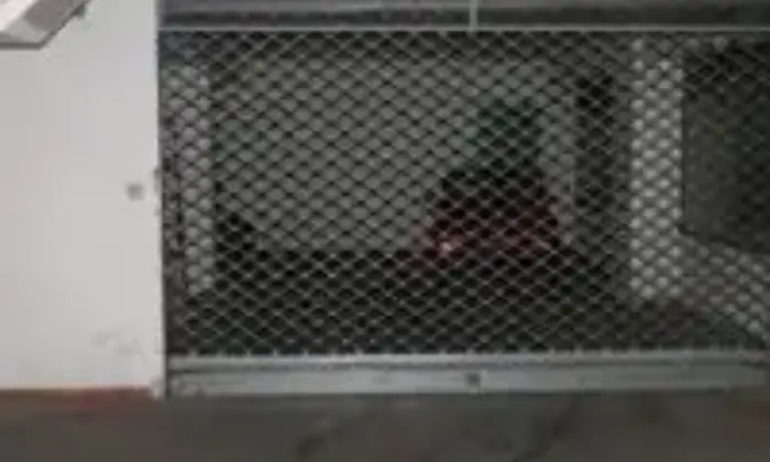 Rexer-Avellino-Garage-in-affitto-a-Avellino-ALTRO