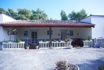 Rexer-Vico-del-Gargano-Villa-indipendente-a-soli-km-da-Vico-del-Gargano-GIARDINO