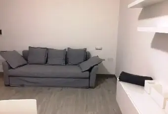 Rexer-Milano-Appartamento-brevi-periodi-Ospedale-San-Raffaele-Milano-SALONE
