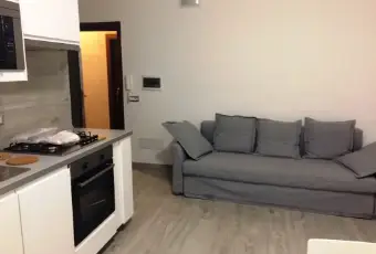 Rexer-Milano-Appartamento-brevi-periodi-Ospedale-San-Raffaele-Milano-SALONE