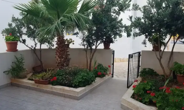 Rexer-San-Vito-Lo-Capo-Villa-singola-a-schiera-in-affitto-ALTRO