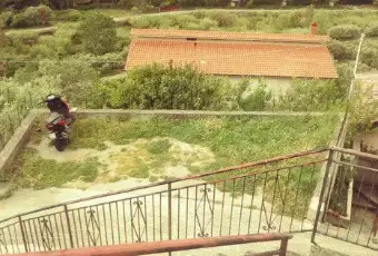Rexer-Piraino-Affittasi-casa-singola-ALTRO