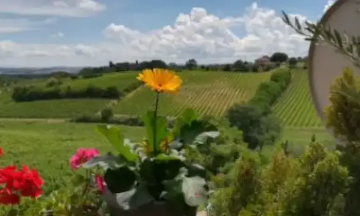 Rexer-Montepulciano-Appartamento-servito-con-vista-panoramica-Giardino