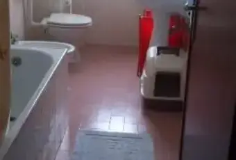 Rexer-Roburent-Casa-in-affitto-a-Roburent-BAGNO