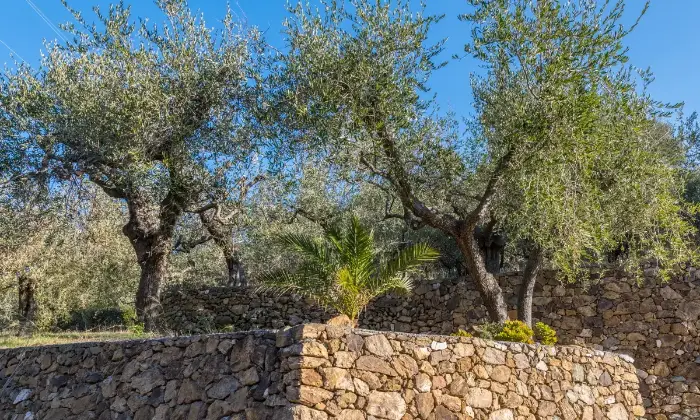 Rexer-Finale-Ligure-Finale-Ligure-Villa-di-Pregio-GIARDINO