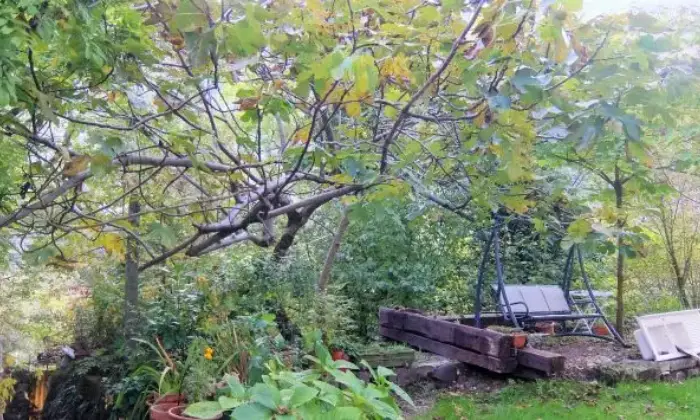 Rexer-Valbrenta-Appartamento-in-vendita-in-via-Collicello-Valstagna-ALTRO