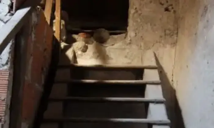 Rexer-Valbrenta-Appartamento-in-vendita-in-via-Collicello-Valstagna-ALTRO