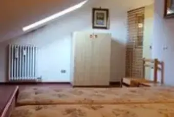 Rexer-Diano-Marina-Privato-affitto-bellissimo-loft-mansarda-metri-ALTRO