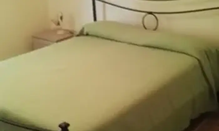 Rexer-Alassio-Alassio-appartamento-CAMERA-DA-LETTO