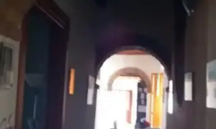 Rexer-Fauglia-Casa-stile-rustico-in-affitto-in-corso-Repubblica-Fauglia-ALTRO