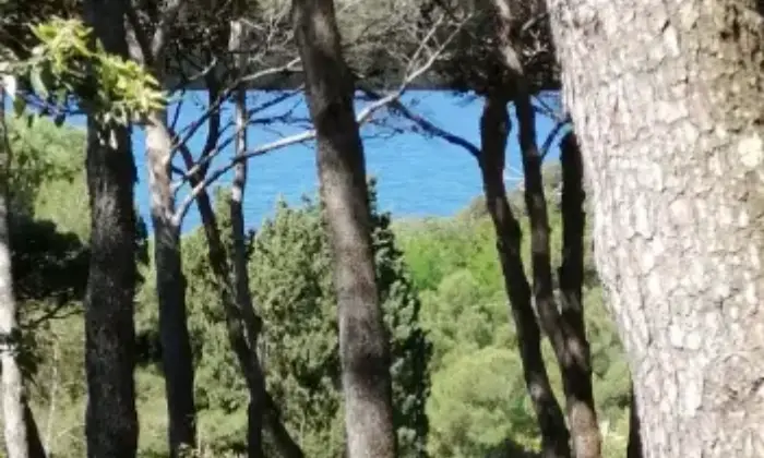 Rexer-Rosignano-Marittimo-Monolocale-vicino-al-mare-in-affitto-con-riscatto-ALTRO