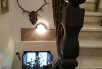 Rexer-Camerata-Nuova-Villa-singola-camerara-nuova-in-affito-ALTRO