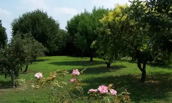 Rexer-Gonzaga-Casalecascina-in-strada-Comunale-Albareda-GIARDINO