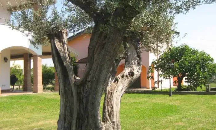 Rexer-Orio-Litta-Stupenda-villa-Orio-Litta-LO-GIARDINO