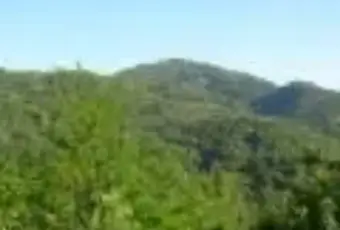 Rexer-Monterenzio-Bed-Breakfast-Lo-Scoiattolo-vista-panoramica-GIARDINO