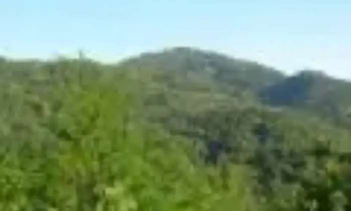 Rexer-Monterenzio-Bed-Breakfast-Lo-Scoiattolo-vista-panoramica-GIARDINO