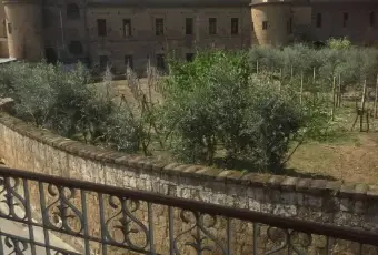 Rexer-Calvi-Risorta-Affitto-con-riscatto-Villa-plurifamiliare-via-Grazia-Deledda-Calvi-Risorta-ALTRO