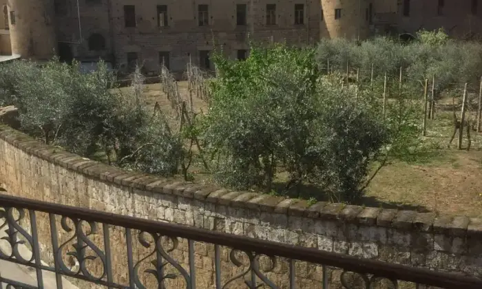 Rexer-Calvi-Risorta-Affitto-con-riscatto-Villa-plurifamiliare-via-Grazia-Deledda-Calvi-Risorta-ALTRO