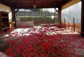 Rexer-Marano-di-Napoli-Villa-in-vendita-in-via-Torre-Dentice-Marano-di-Napoli-GIARDINO