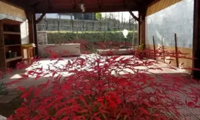 Rexer-Marano-di-Napoli-Villa-in-vendita-in-via-Torre-Dentice-Marano-di-Napoli-GIARDINO