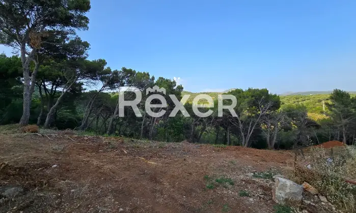 Rexer-Camerota-Villa-Panoramica-al-Grezzo-con-Parco-di-mq-Espandibile-a-mq-NEL-CUORE-DEL-CILENTO-Altro