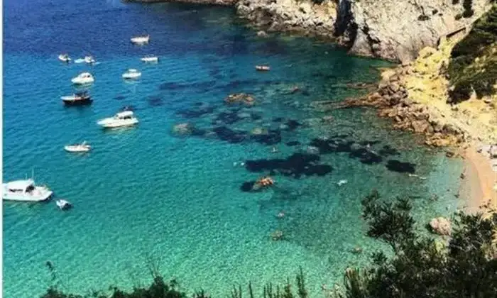 Rexer-Monte-Argentario-APPARTAMENTO-MONTE-ARGENTARIO-GR-ALTRO